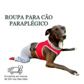 Roupa Protetora Pet Para Cachorro Que Se Arrasta Paraplégico Problema de Locomoção Membros Posteriores Pernas Traseira
