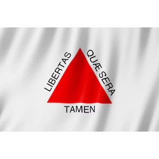 Bandeira de Minas Gerais Grande Cetim com Acabamento 150x1,00