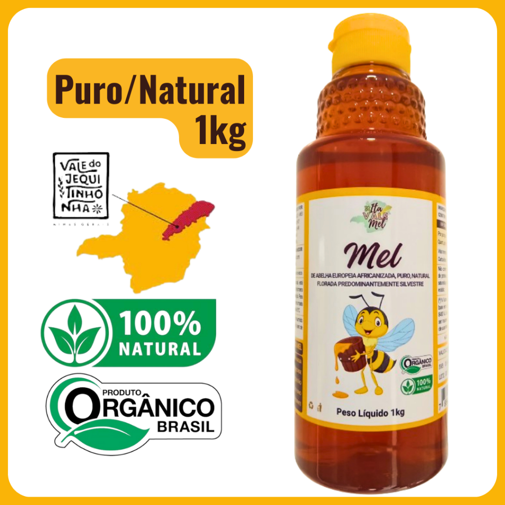 Mel de Abelhas Silvestre Puro Verdadeiro Orgânico 1kg - Vale do ...