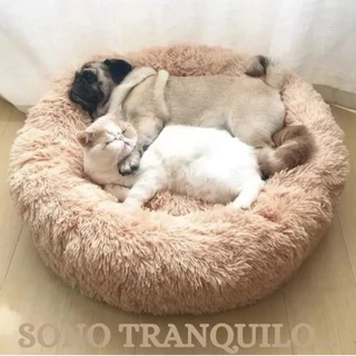 CAMA PET DONUT NUVEM PELUCIA P REDONDA CAMINHA PELUCIADA NINHO CASINHA CASA COLCHONETE CÃO GATO 40CM