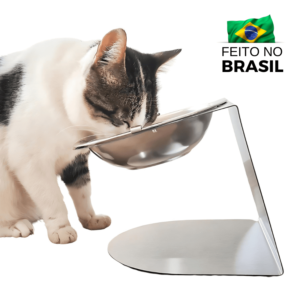 Comedouro Ergonômico Elevado para Gatos 100% Inox (Unitário) | Shopee ...