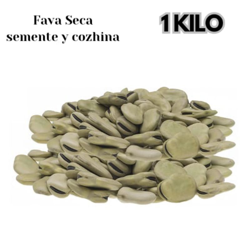 FAVA HABA SECA DESHIDRATADA 1 KILO SEMENTES Y COZINHA | Shopee Brasil