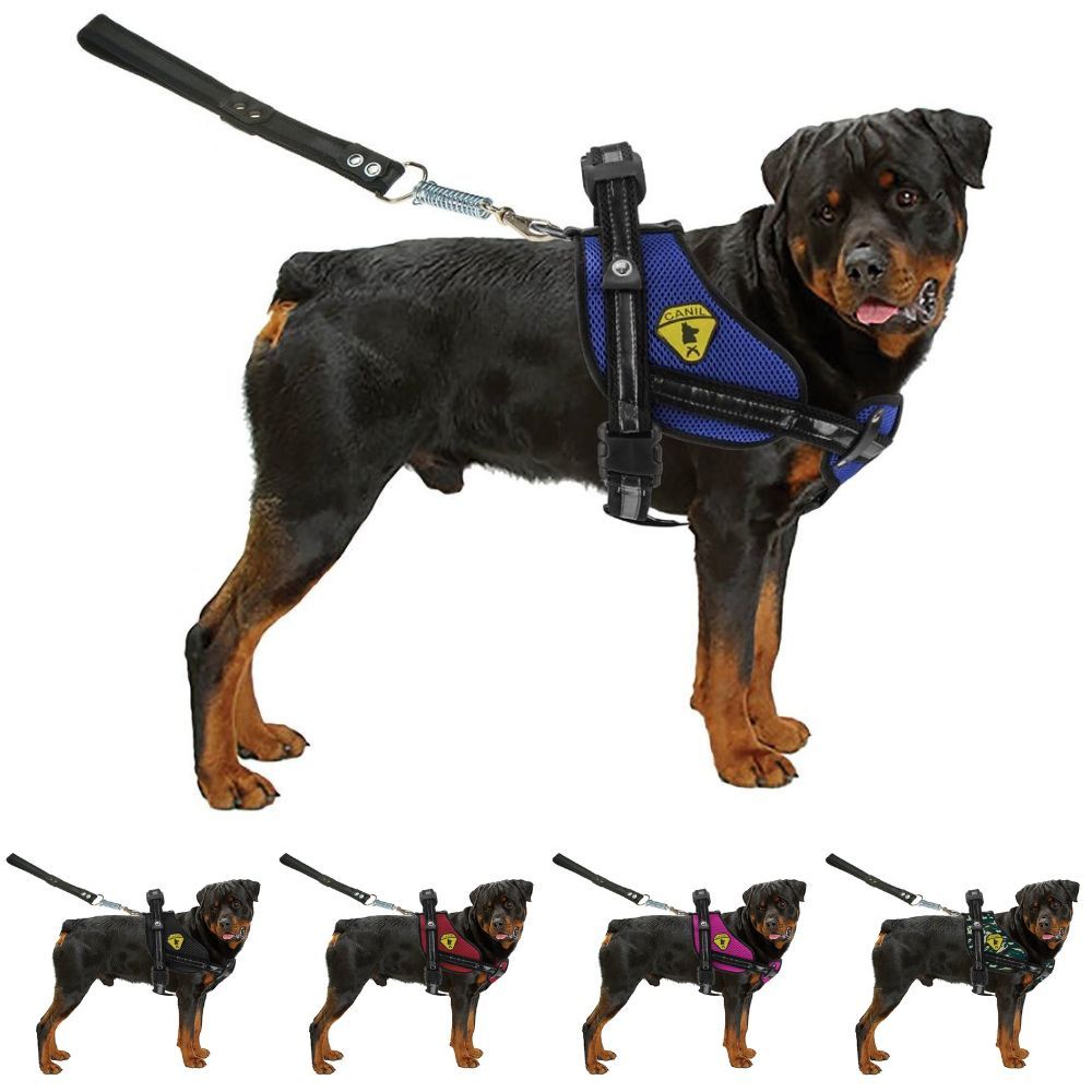 Peitoral Coleira Com Guia Para Cães Rottweiler Pitbull Husky Doberman Com Regulagem Canil Bulls