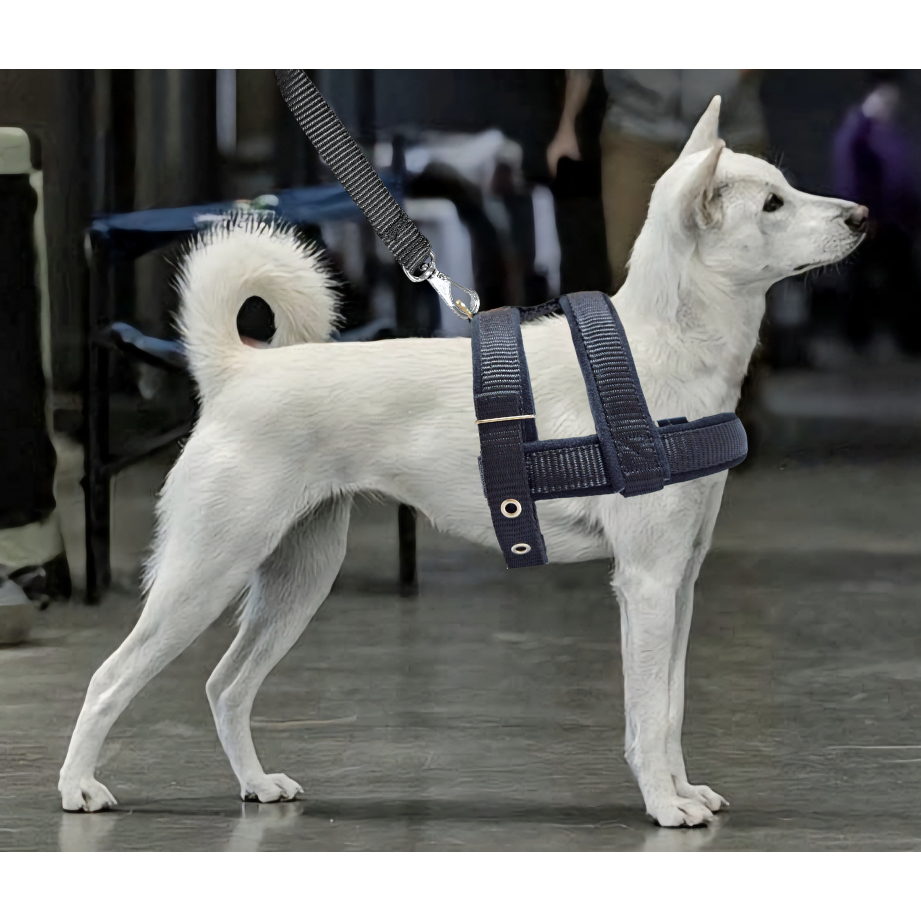 Coleira Peitoral Guia Para Cachorros Pequeno Porte Fitas Forradas Ajustáveis Modelo Colete