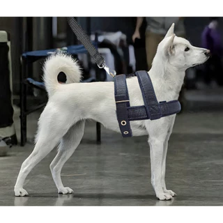 Coleira Peitoral Guia Para Cachorros Pequeno Porte Fitas Forradas Ajustáveis Modelo Colete