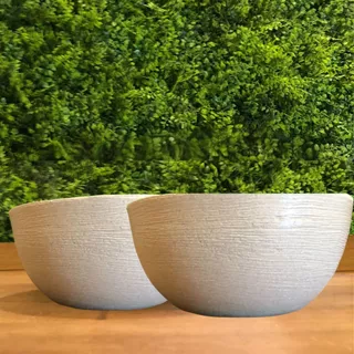Kit com 2 vasos Bacia Polietileno Para Plantas cactos e Suculentas (26x13)