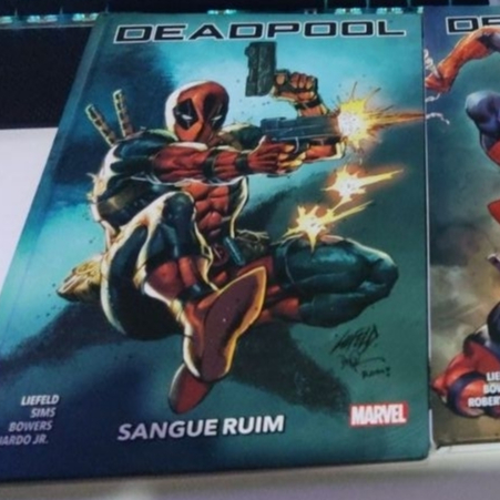 Marvel e DC HQs Livros Todos com capa dura VÁRIOS LIVROS HQs e MANGÁS DIVERSAS SÉRIES e AUTORES