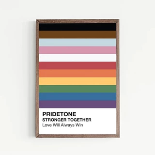 Quadro Moldura Decorativo LGBT Pantone Pride Orgulho Decoração Casa