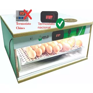 Chocadeira Automática 50 Ovos de Galinha + Ovoscópio - Eclo