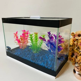 Aquário 5 litros para peixe betta Jardim (3 plantas + 1 pacote de pedra) decoração completa, aquário ideal para peixes pequenos.