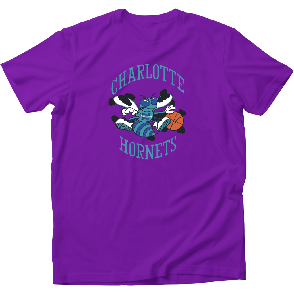 Camiseta Charlotte Hornets Basquete