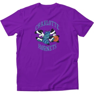 Camiseta Charlotte Hornets Basquete