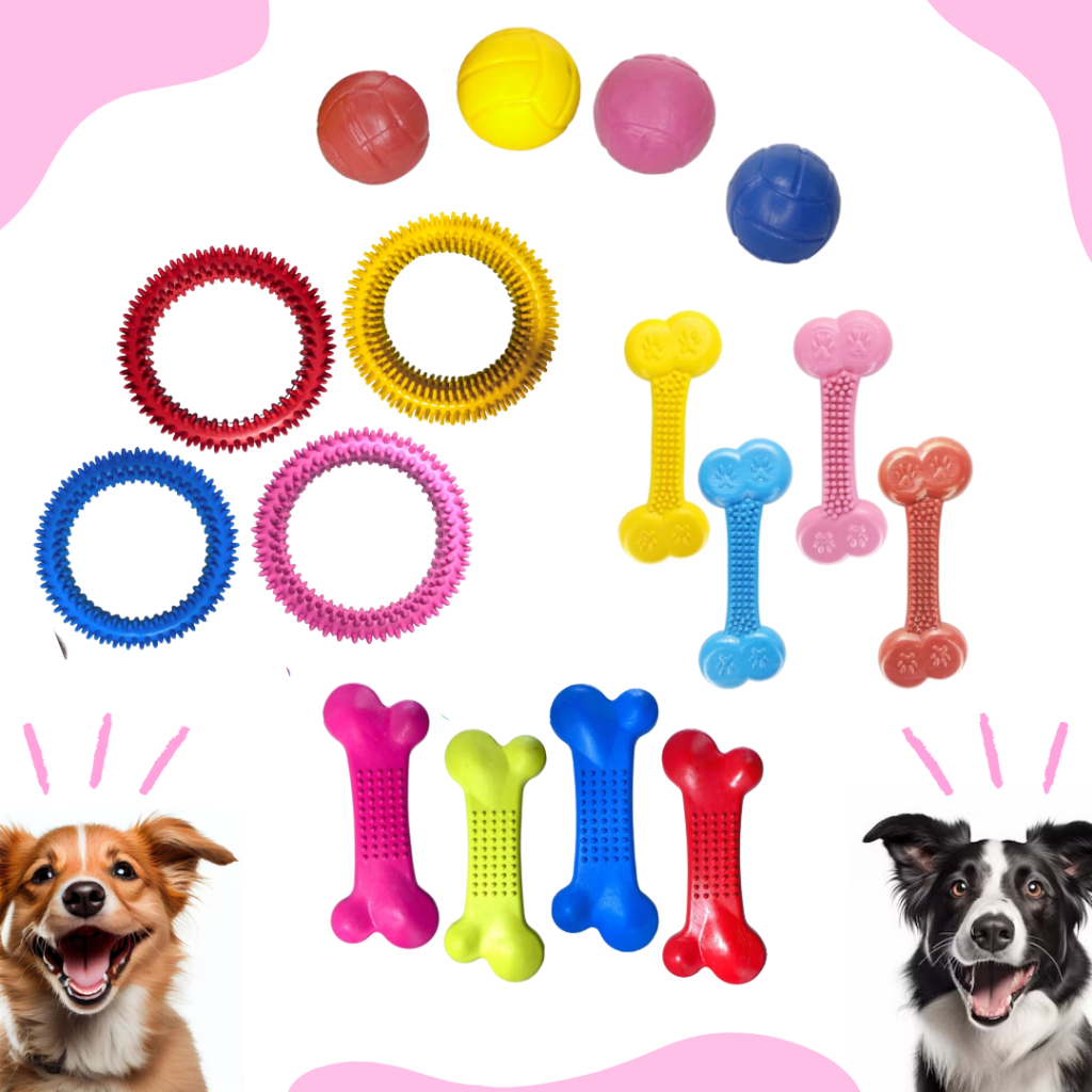 Kit 4 Brinquedo Mordedor Para Cachorro Porte Medio e Filhote Borracha ...