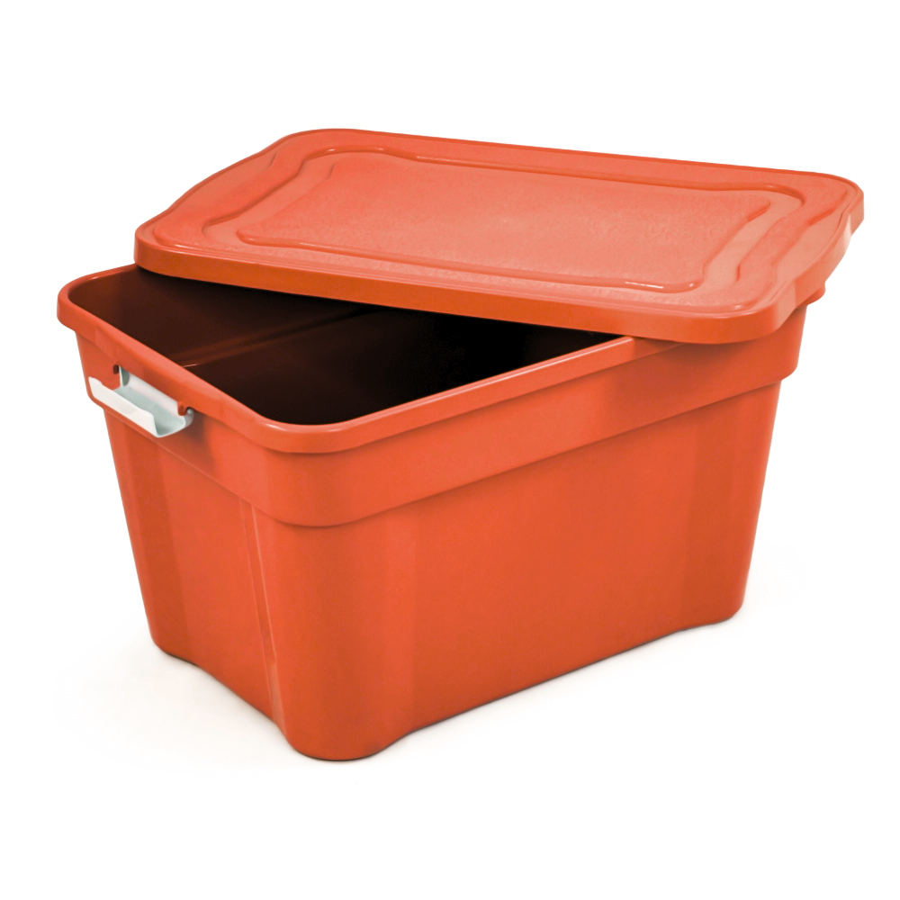 キャサリン Caixa Organizadora Diversas cores 55L Tampa E Trava Agraplast 927