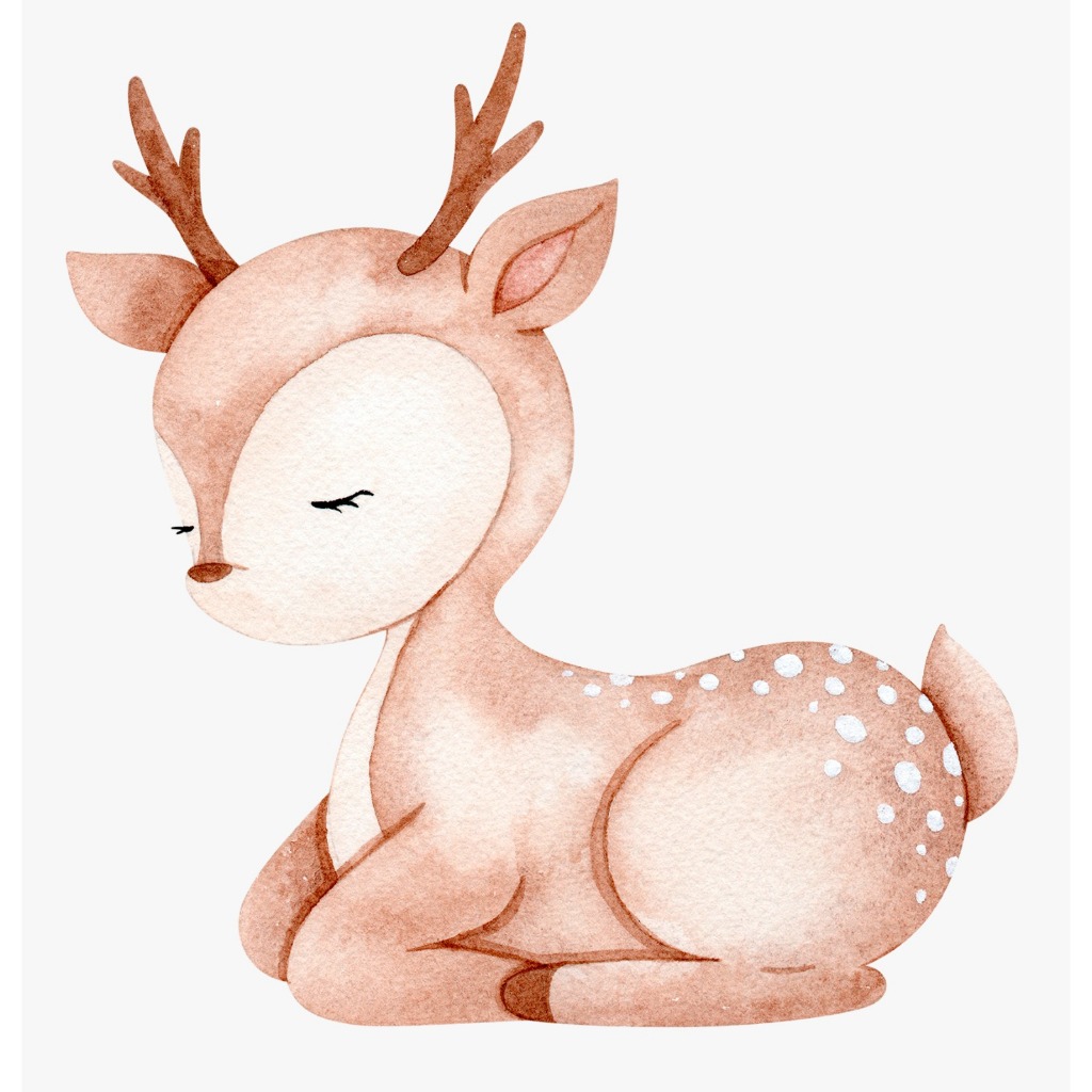 1 DISPLAY DE CHÃO CERVO AQUARELA, 80 CM MDF 3 MM