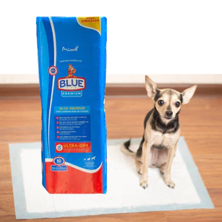 Tapete Blue Premium Para Cachorro Descartável 82x60cm Tapete higiênico para Cães - 30un Dura muito mais