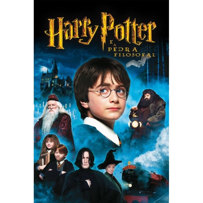 DVD Harry Potter e a Pedra Filosofal | Shopee Brasil