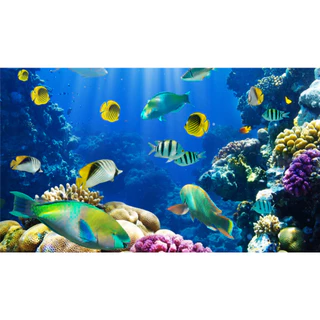 Adesivo Decoração De Parede Aquário Fundo Mar Coral Peixes