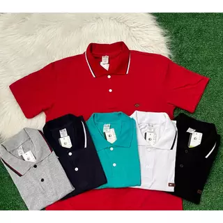 Kit 3 Camiseta Polo Masculina 100% Algodão Adulto de homem Basica Promoção