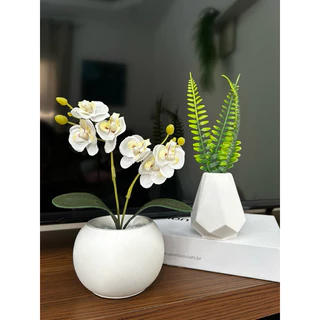 kit de mini orquídea e samambaia com vasinhos de gesso