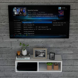 Nicho Rack Suspenso com divisão duplo Prateleira para TV - ENVIO MONTADO
