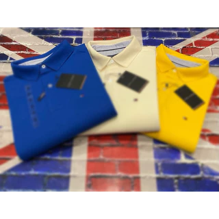 Camisa Polo Masculina 100 % Algodão 15 cores disponíveis .