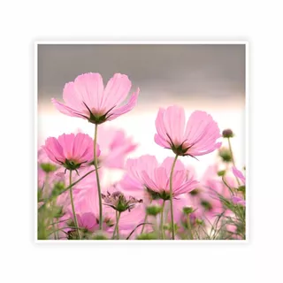 Quadro Decorativo Flores Rosa Campo com Moldura Branca
