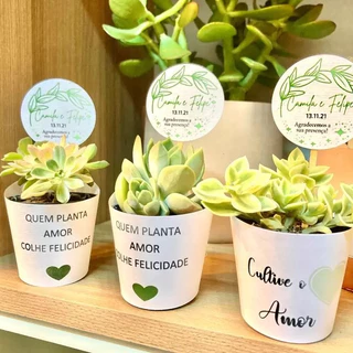 Rótulo + Tag Branca Suculentas P6 Personalizada para lembrancinhas,casamentos batizado aniversario festa confraternização natal empresa presente
