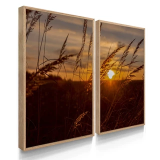 Decoreiro Quadros Decorativos Dupla 55x40 Capim dos Pampas Com Vidros