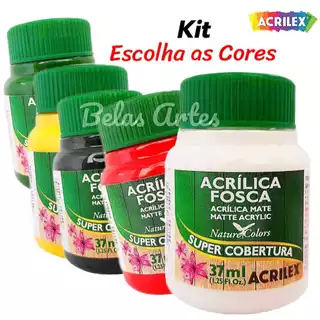 Kit Tinta Acrílica Fosca 37ml 2 / 3 / 4 Tintas Acrilex
