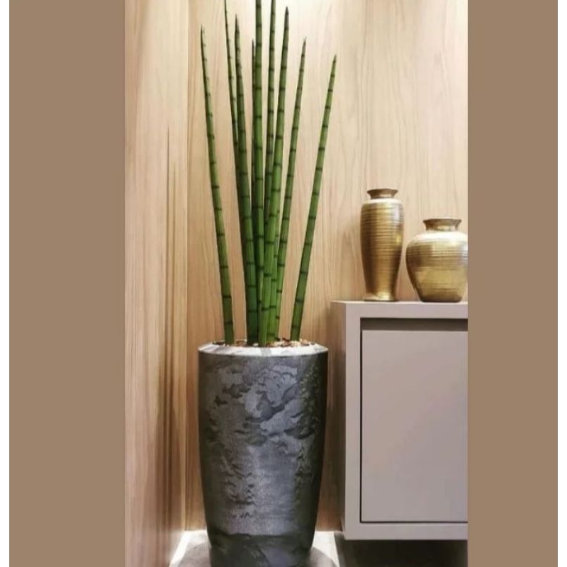 planta artificial lança de são Jorge 70cm o vaso não acompanha