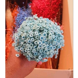 flor sempre viva azul bebê , kit com 400 flores tipo 1 EXTRA