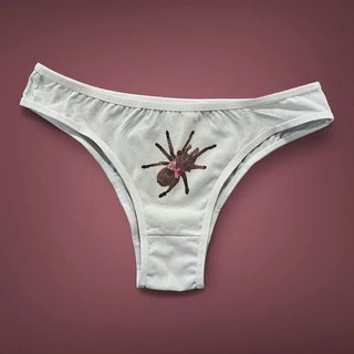 Calcinha Aranha Coquette