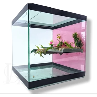 Aquaterrario 7 Litros Aquario terrario Cubo 20x20cm Jabuti tartaruga reptes lagarto peixe ornamentais plantas artificiai
