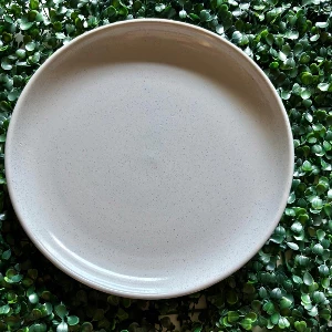 PRATO CERAMICO RASO CINZA CLARO COM BORDA 26 CM