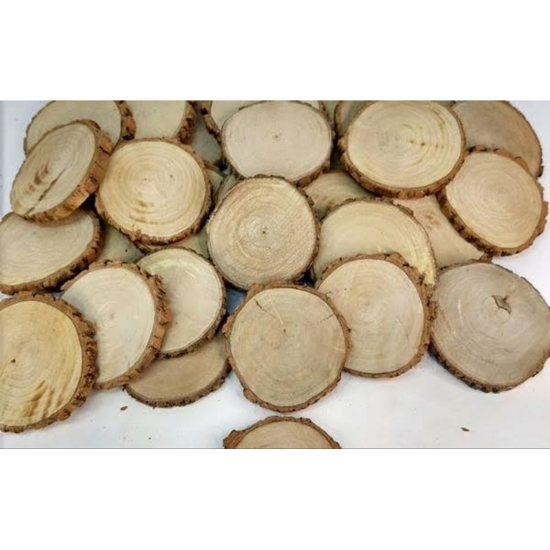 kit 15 bolachas de madeira reflorestada de aproximadamente 8cm