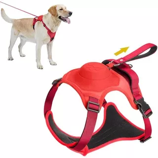 Kit Coleira 2x1 - Guia + Peitoral Para Cães Grandes G