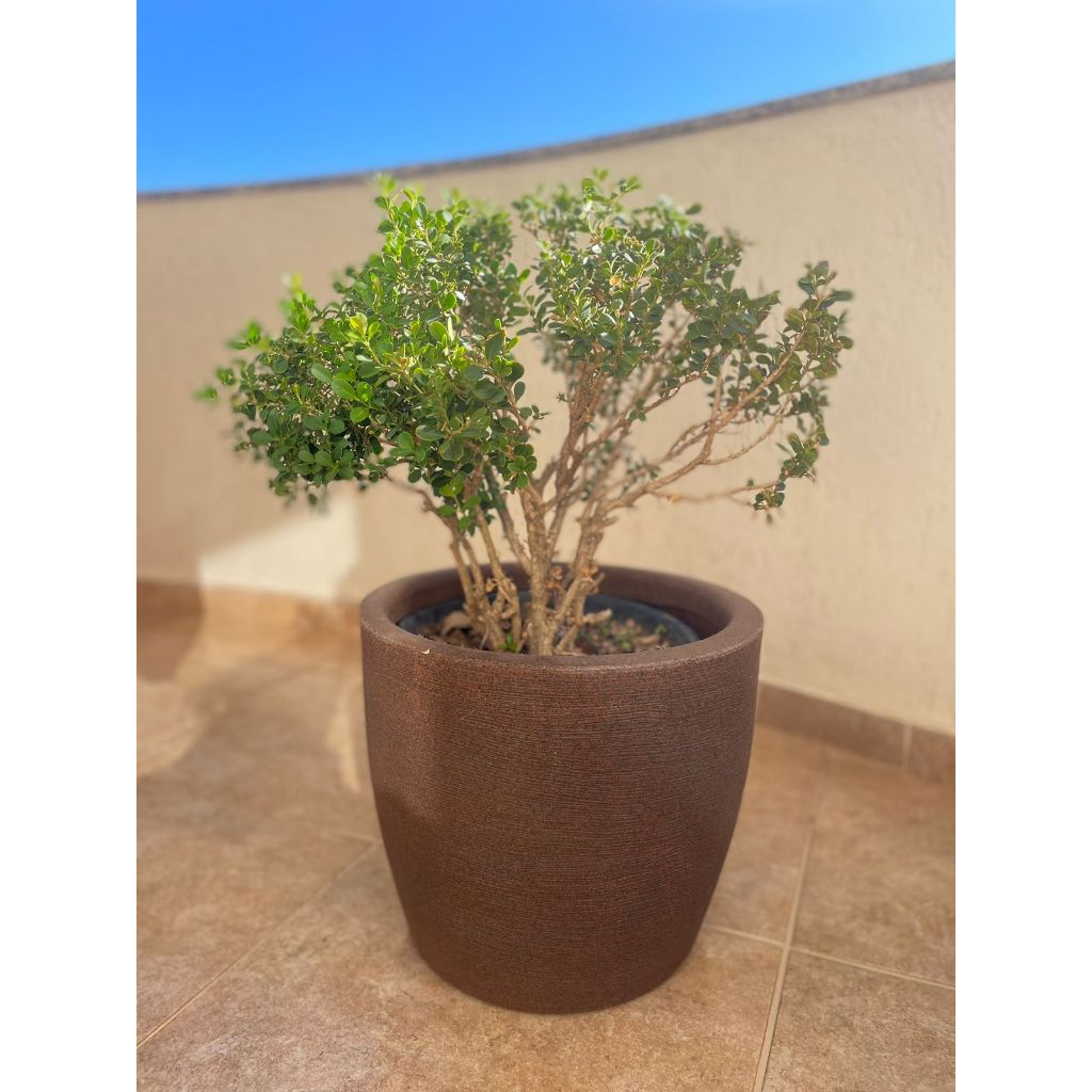 Vaso Redondo Cone com textura Tamanho G | Shopee Brasil