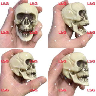 Kit Mini Crânio Esqueleto Movimenta o Queixo Para Festa Decoração Halloween De Plástico