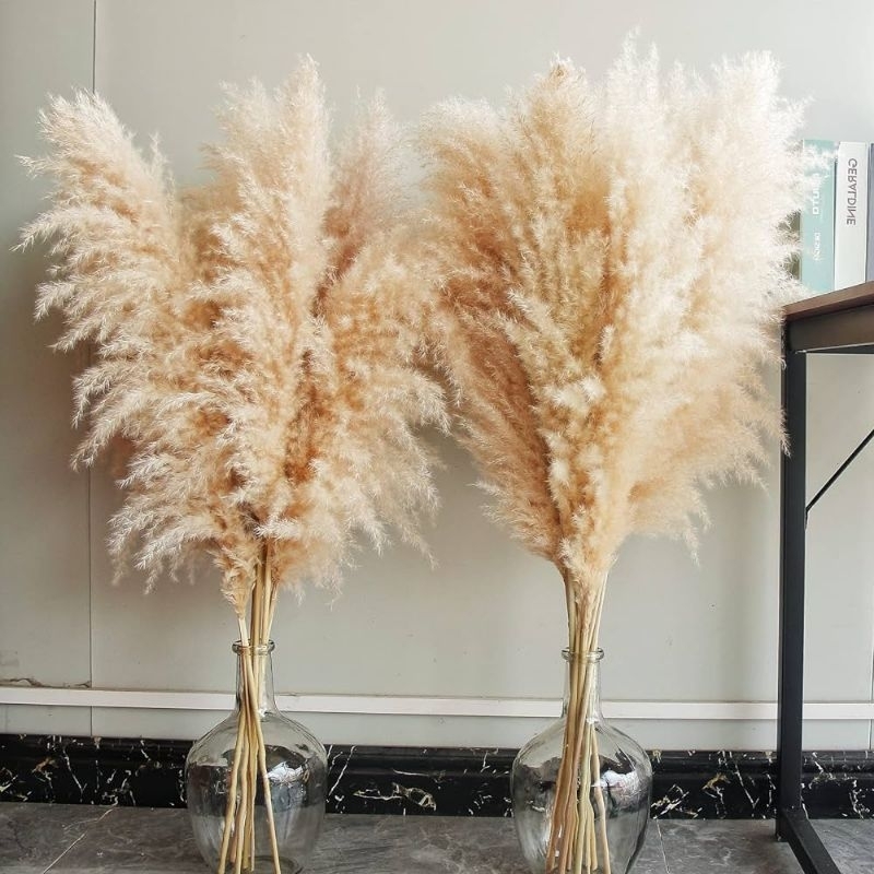 10 Capim dos Pampas/boho natural para decoração