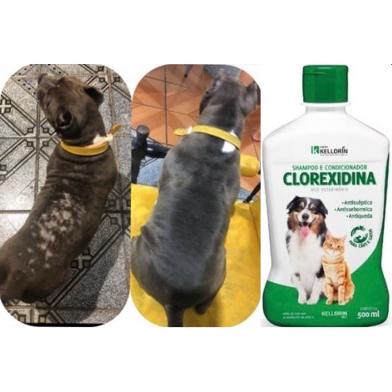Tratamento Dermatite Atópica Canina Medicamento Shampoo Clorexidina Kelldrin Val: 10/25