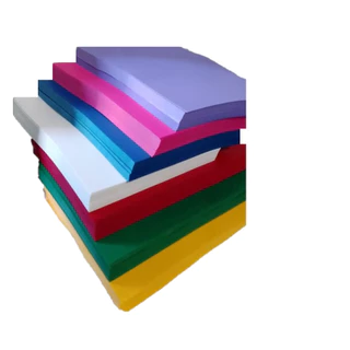 CAPA PP A4 COLORIDA COURO, PLASTYLINE, CONTRA CAPA C/100 FLS