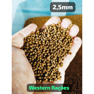 ATÉ 500GR RAÇÃO PARA TARTARUGAS, RÉPTEIS E PEIXES DE 2,5mm e 5mm A GRANEL.