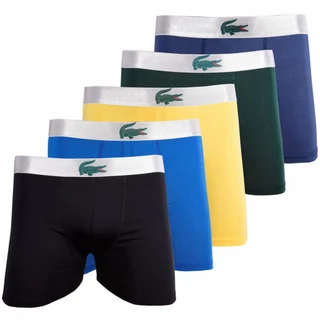Kit 10 Cuecas Box Boxer Adulto Microfibra Cueca J