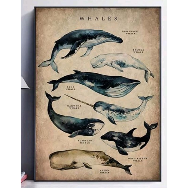 Quadro Decorativo Peça Única Biologia Marinha Fundo Bege Animais Decoração