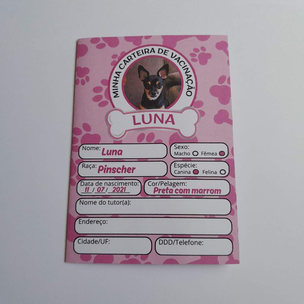 Cartão De Vacina Com Foto, Nome e Dados do Pet-Personalizado-Carteira de  Vacinação Pet-Cachorro-Gato-Petshop-Veterinária
