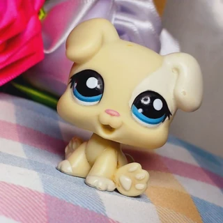 Littlest Pet Shop Puppy #1706