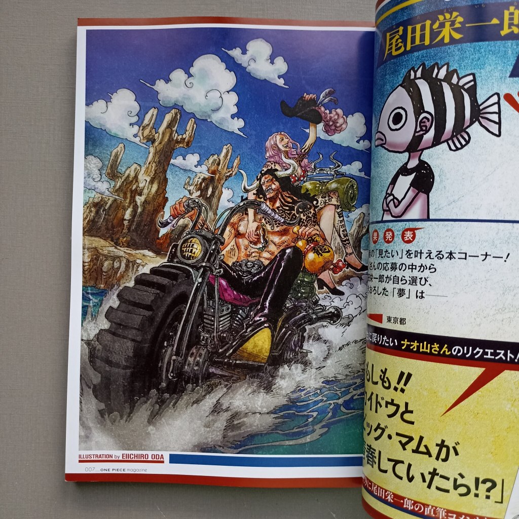 Livro One Piece Magazine 18 em japonês - Zoro e Sanji