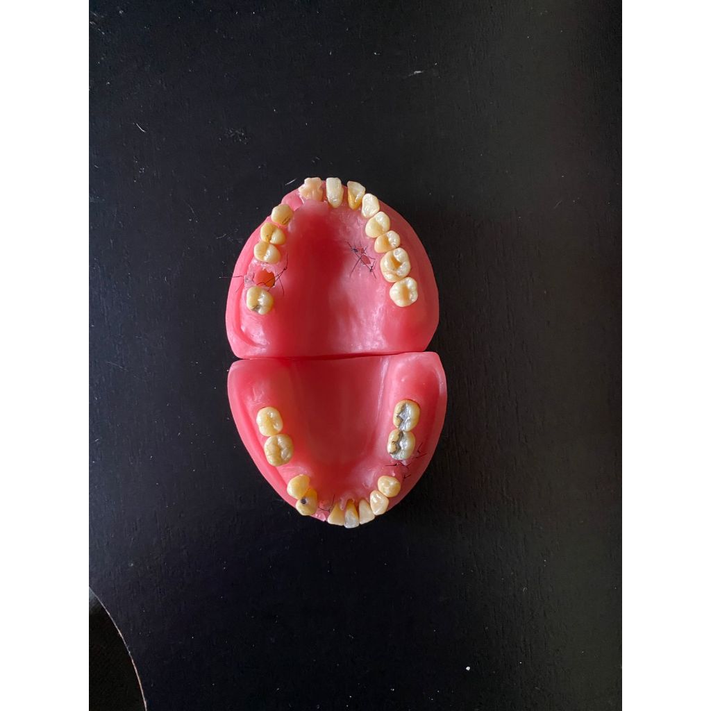 Manequim de cirurgia da marca pronew
