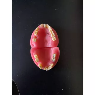 Manequim de cirurgia da marca pronew